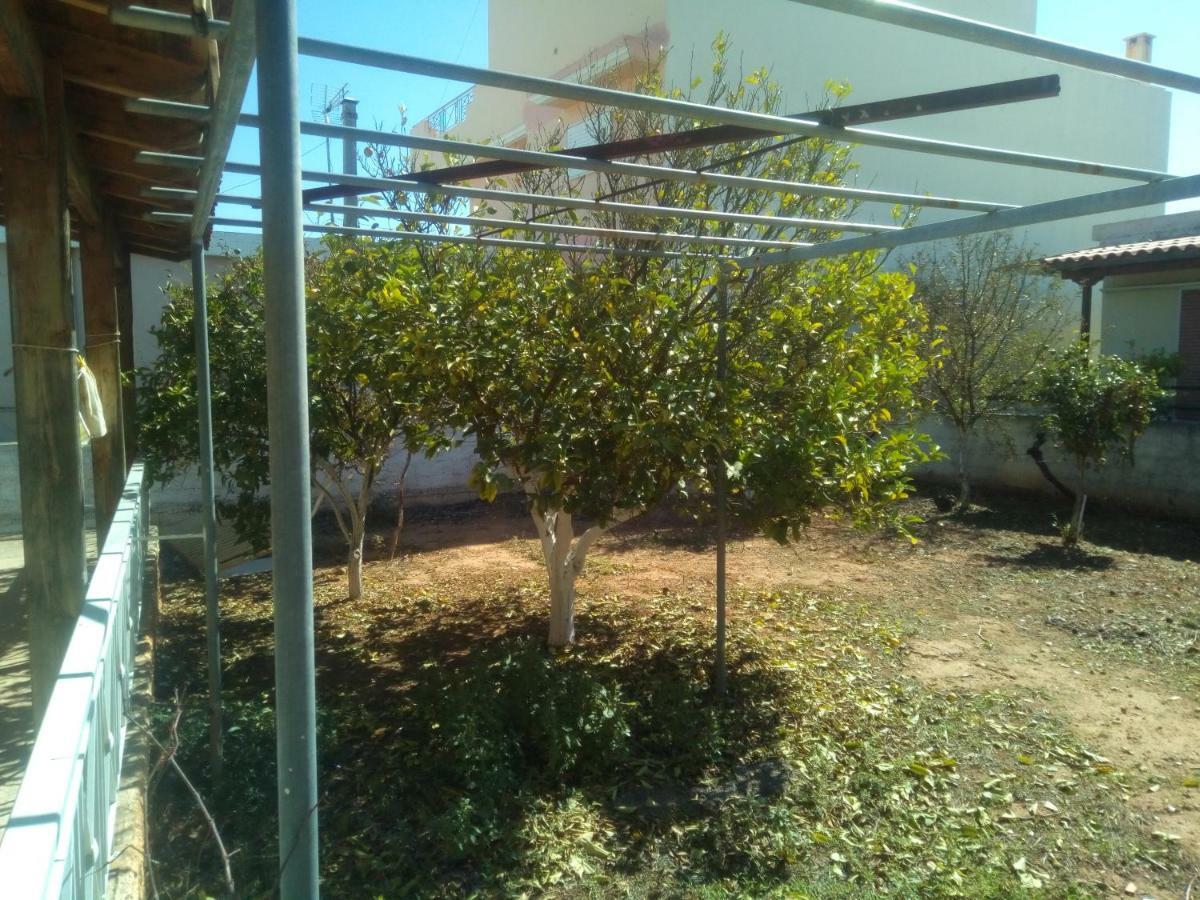 Vangelis House Near Athens Airport Артеміда Екстер'єр фото