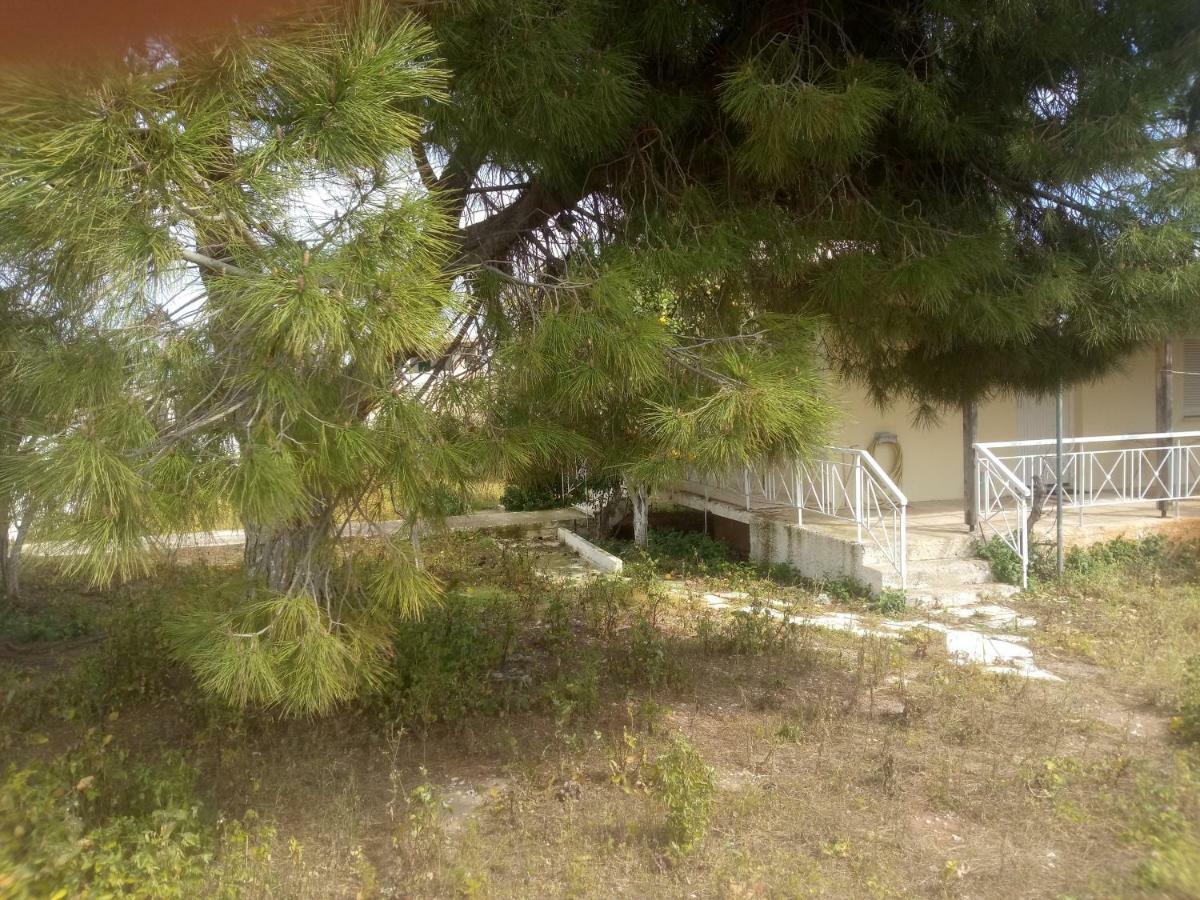 Vangelis House Near Athens Airport Артеміда Екстер'єр фото